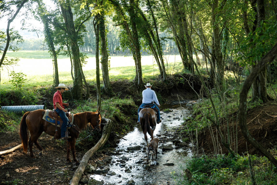 Trevor Pennington and Kevin Reed search for a missing calf in the river at 1822 Farms in Williamsport, Tenn. on Monday, July 10, 2023. 