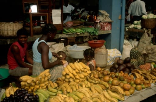 Classement des pays les plus “veggie friendly”