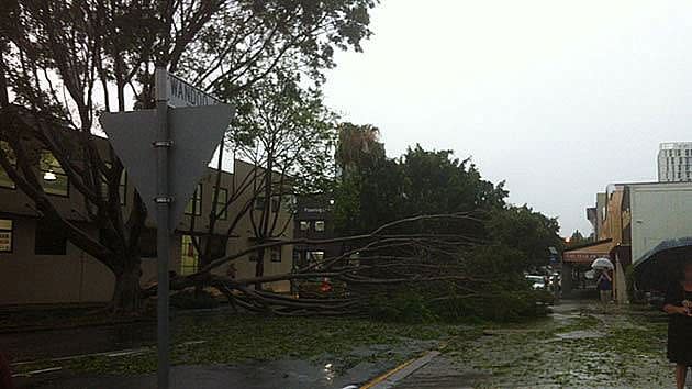 Trees have fallen across the CBD. This picture was taken in Fortitude Valley