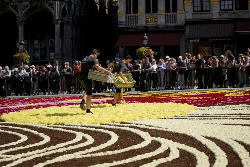 La alfombra de flores ''Art Nouveau'' en Bruselas