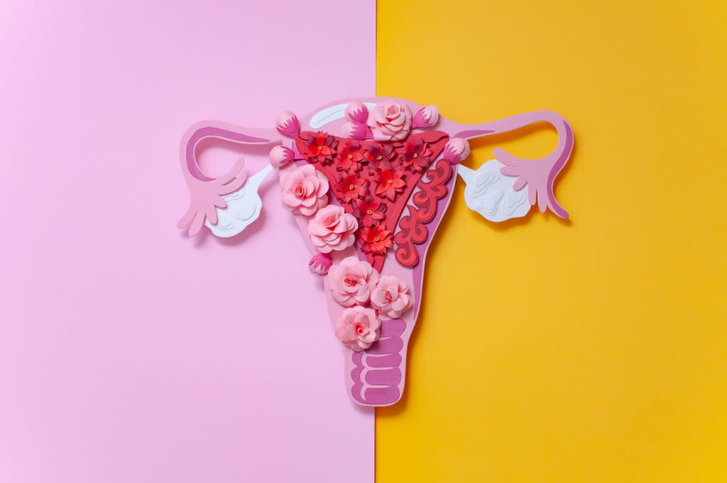 Endometriosis was identified  in the 1920s but its causes are still not understood (Getty/iStockphoto)
