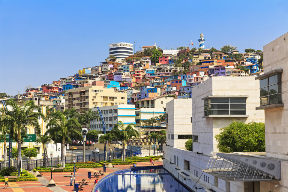 Fondée au XVIe siècle, Guayaquil est le plus grand port d’Équateur mais aussi le principal lieu d’embarquement des croisières dans les Galapagos. 