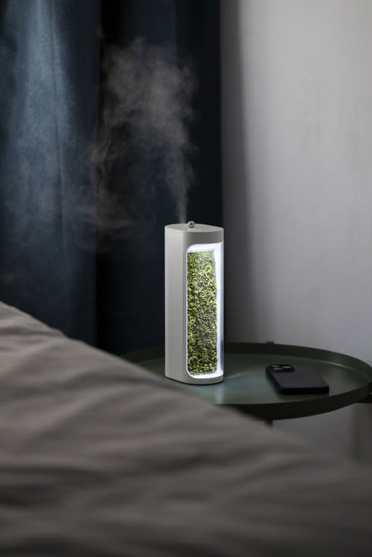 Moss Air is a portable unit that helps purify the air indoors.<p>Moss Air</p>