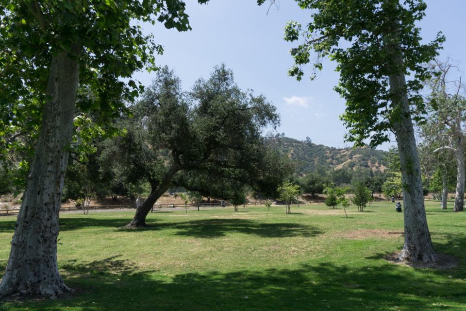 The Bette Davis Picnic Area, a slice of socially distanced paradise by the 134 freeway.