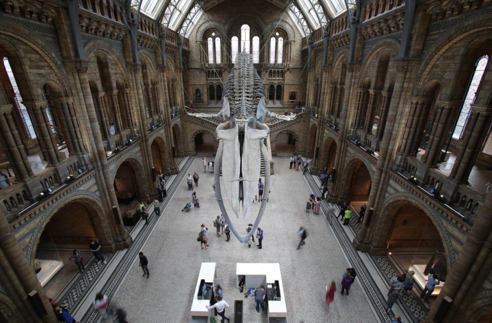 The Natural History Museum (PA)