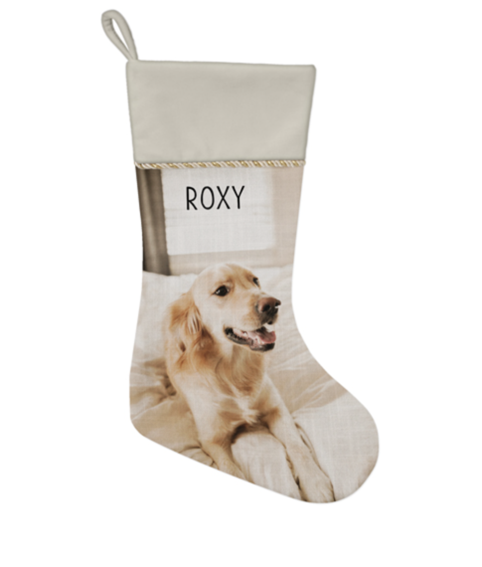 <p><a href="https://go.redirectingat.com?id=74968X1596630&url=https%3A%2F%2Fwww.shutterfly.com%2Fp%2Fphoto-gifts%2Fchristmas-stockings%2Fpet-photo-gallery-christmas-stocking%3Ffeeds%3Dy%26productCode%3D1568595%26categoryCode%3D1109779%26skuCode%3D1568597%26CID%3DSEGSH.HOMEDECOR.1358486893_20491859419_%26gclid%3DEAIaIQobChMIiMX4npLsgQMVV_zjBx2iWwfXEAQYASABEgKvivD_BwE%26gclsrc%3Daw.ds&sref=https%3A%2F%2Fwww.thepioneerwoman.com%2Fhome-lifestyle%2Fpets%2Fg37677370%2Fdog-christmas-stockings%2F" rel="nofollow noopener" target="_blank" data-ylk="slk:Shop Now;elm:context_link;itc:0;sec:content-canvas" class="link ">Shop Now</a></p><p>Pet Photo Gallery Christmas Stocking</p><p>shutterfly.com</p><p>$24.99</p><span class="copyright">Shutterfly</span>