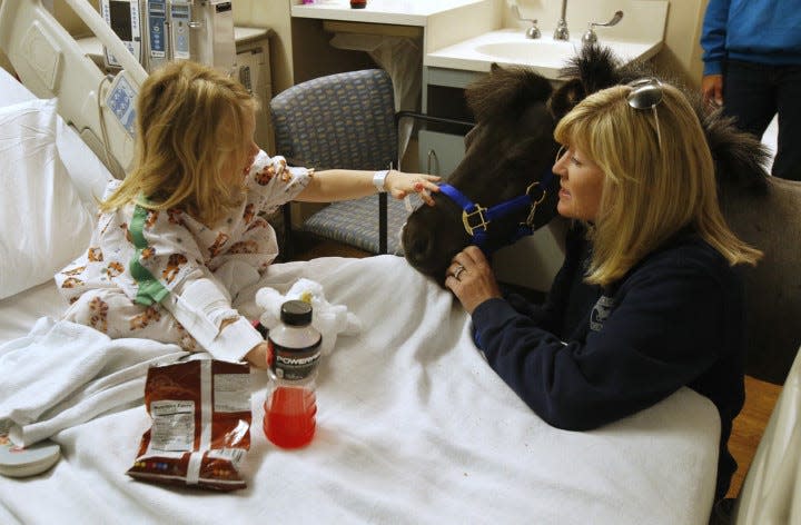 Victory Gallop volunteer Toril Simon visits an Akron Children's Hospital patient with miniature pony Willie Nelson during his debut on May 1, 2018. (Karen Schiely/Beacon Journal)