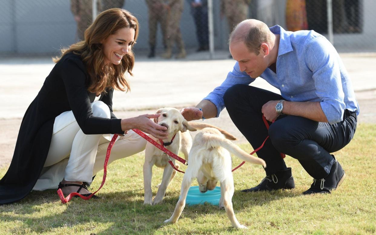 William and Kate meet puppies in training to find IEDs - REX