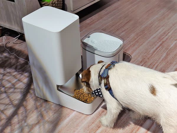 小米首度跨足寵物領域，推出 Xiaomi 智慧寵物餵食器與Xiaomi智慧寵物飲水機。（圖：柯宗鑫攝）