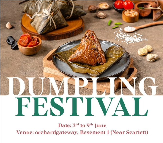 dumpling festival - poster