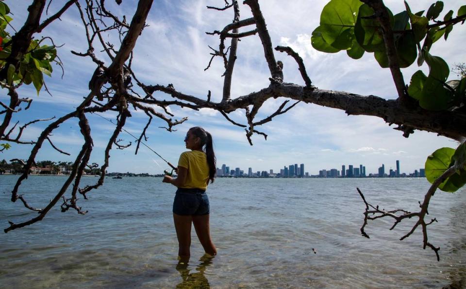 Fernanda López pesca a lo largo del Viaducto Julia Tuttle mientras la gente se aventura al aire libre el sábado 2 de mayo de 2020 durante la epidemia del COVID-19, mientras el Condado Miami-Dade abre parques y marinas.