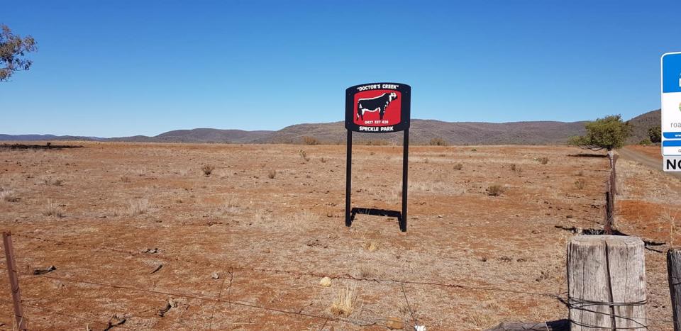 Rhonda and Alf King's beef property Doctor's Creek Speckled Park has been in intense drought for two years. Source: Rhonda King