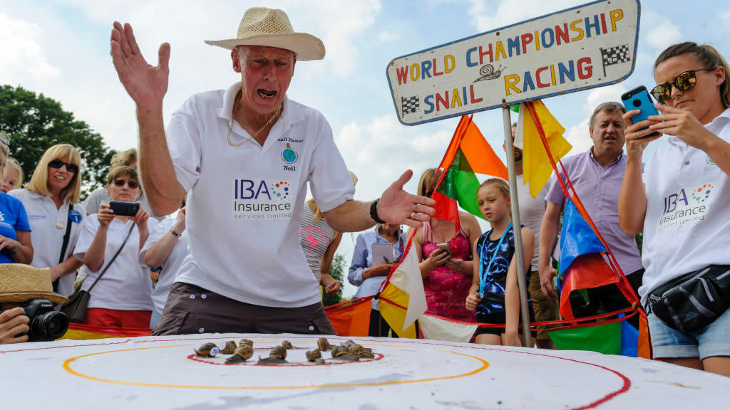  British country sports: snail racing. 