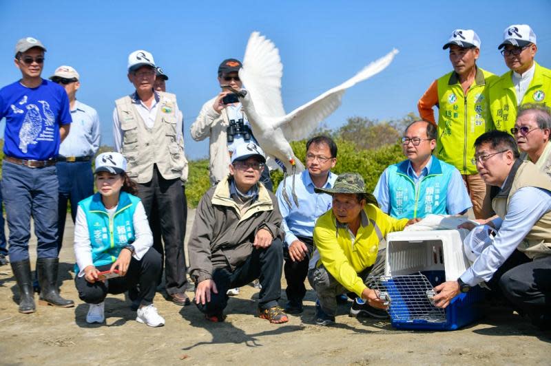 2021黑面琵鷺保育季啟動　找黃偉哲去年野放「T85」