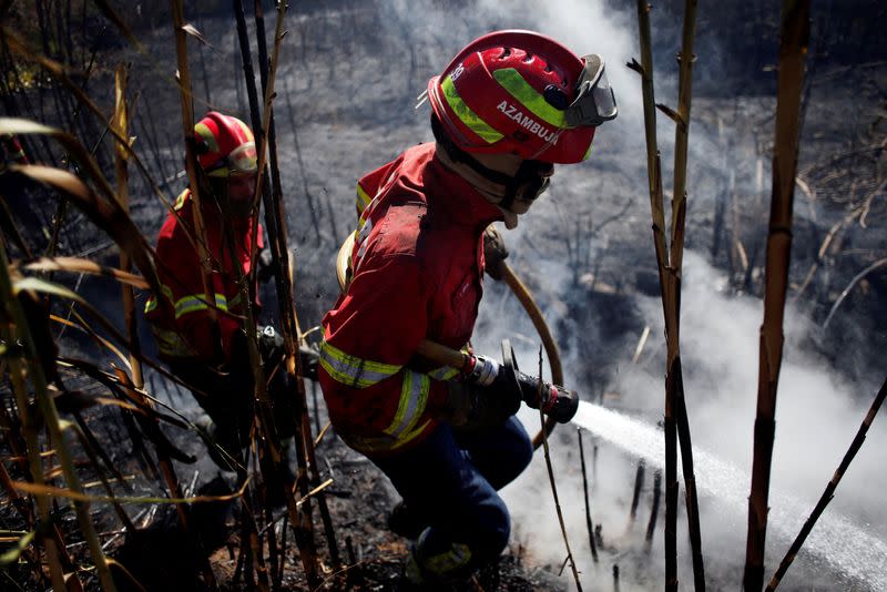 FILE PHOTO: Firefighters work in the aftermath of Sintra mountain wildfire in Cascais