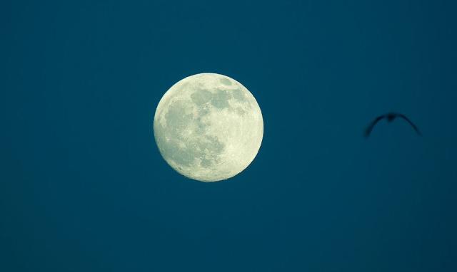 Is The Half Moon Half As Bright As A Full Moon? - Farmers' Almanac - Plan  Your Day. Grow Your Life.
