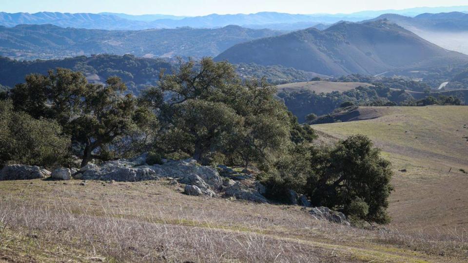 The Wild Cherry Canyon property is a 2,400-acre ranch in the hills above Avila Beach and Port San Luis. This view looks toward the hill above Pirates Cove, at right.