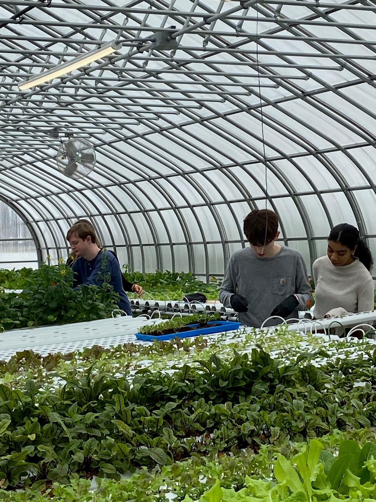 Matthew, left, and Henry with teacher Lexus Harewood, right, are students at Somerset Hills Learning Institute in Bedminster who work at the school’s Three Meadows Farm. The program launched its Paradise Salad at ShopRite of Chester, their first retail partner.