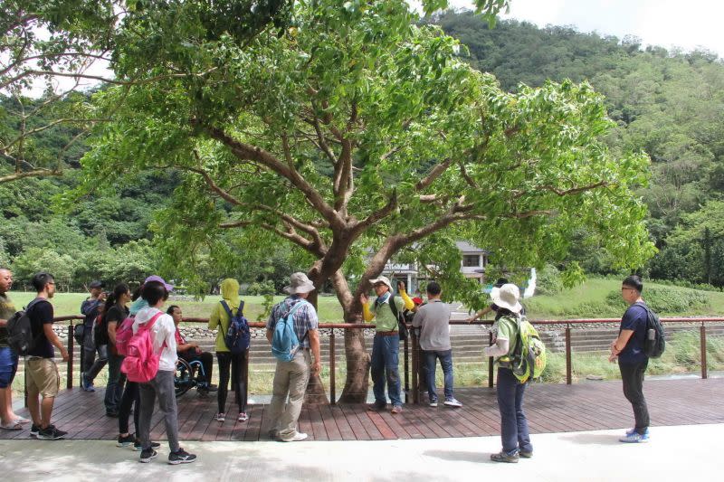 ▲雙流國家森林遊樂區無障礙景觀平台及步道。（圖／林務局提供）