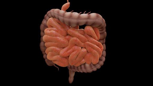 錢政弘醫師表示，屁的來源多為碳水化合物在腸道中發酵產生的氣體。（圖／Pixabay）