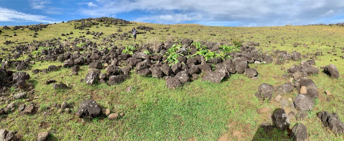 Rocks on Rapa Nui tell the story of a small, resilient population − countering the notion of a doomed overpopulated island