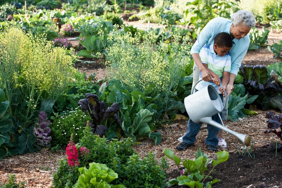 grandma and grandson watering outdoor plants