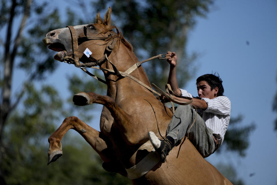 Un hombre monta un caballo rampante durante un rodeo en Chascomus, Argentina, el 26 de febrero de 2023 (AP Foto/Natacha Pisarenko).