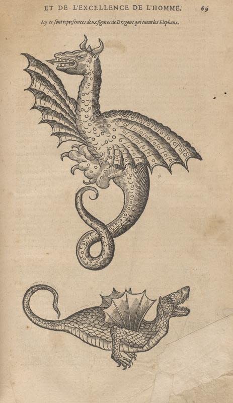 Par&eacute; anatomizes a number of dragons in his collected works. According to the Academy, he cites the Roman historian Pliny as a source, writing: "Pliny saith, that there are Dragons found in Aethiopia of ten Cubits long, but that in India there are Dragons of an hundred foot long, that fly so high, that they fetch Birds, and take their prey even from the midst of the clouds."