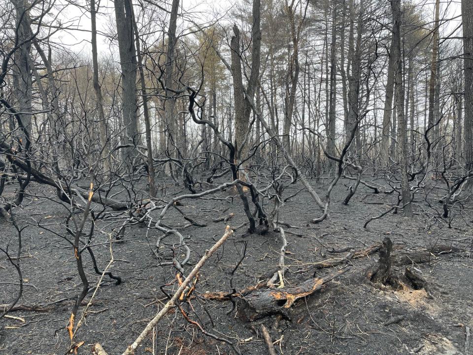 What remains from a large brush fire that sent huge columns of smoke up from Queen's River Preserve in Exeter last Friday, triggering the evacuation of nearby homeowners.