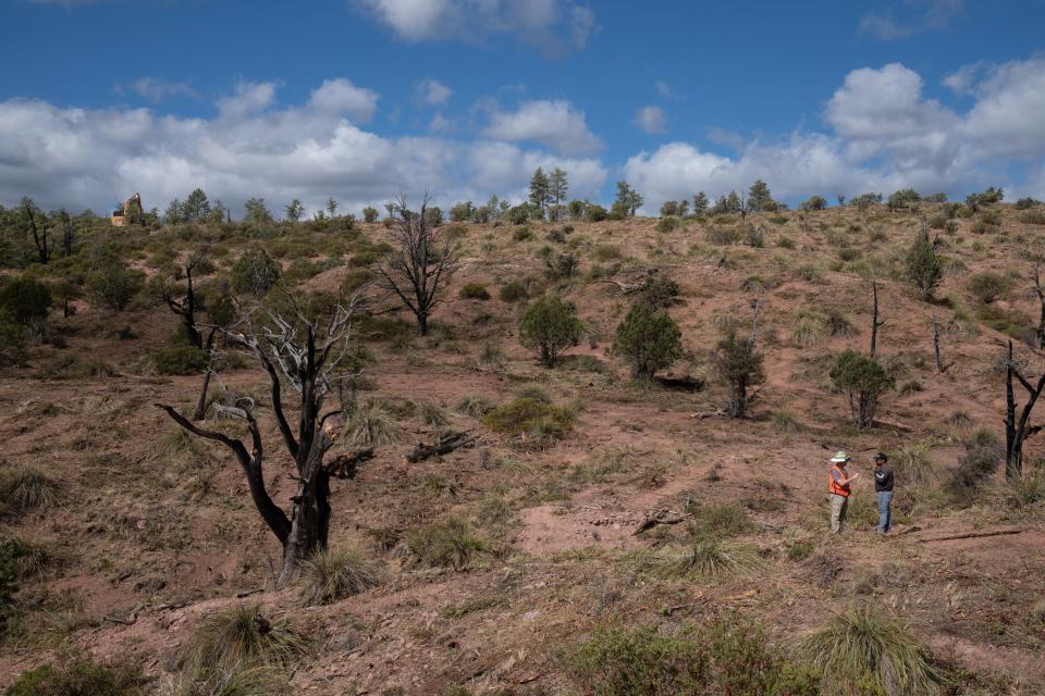 Dee Hines (left) talks with Juan Limos in the Dude Fire burn scar in the Tonto National Forest northeast of Payson, Ariz., on Oct. 26, 2023.