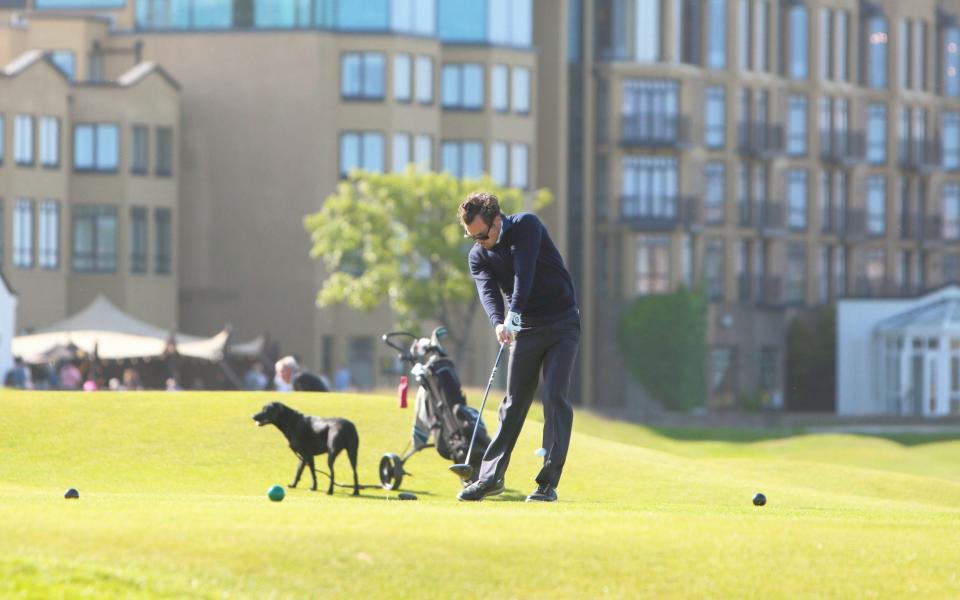 Harry Styles - The R&A’s secret weapons to attract a new generation: Niall Horan, Gareth Bale and Mo Farah - Alamy /Derek Allan