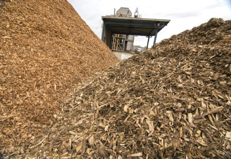 Piles of wooden chips to be processed at the Guessing Energy Technologies research centre in the Austrian town of Guessing