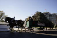 The 2020 Official White House Christmas tree is presented on the North Portico of the White House, Monday, Nov. 23, 2020, in Washington. (AP Photo/Andrew Harnik)