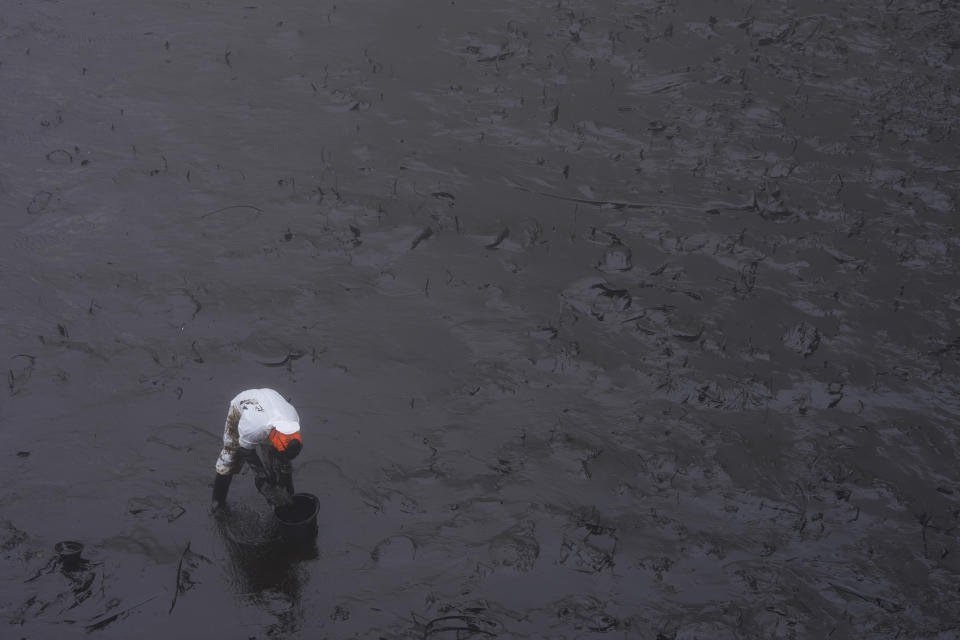 A worker cleans oil from Cavero Beach in the Ventanilla district of Callao, Peru, Friday, Jan. 21, 2022. The oil spill on the Peruvian coast was caused by the waves from an eruption of an undersea volcano in the South Pacific nation of Tonga. (AP Photo/Martin Mejia)