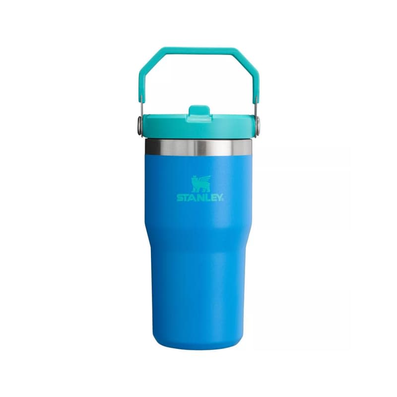 Stanley 20 oz Stainless Steel IceFlow Flip Straw Tumbler