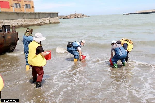 台北市福智佛教基金會在後龍外埔漁港舉辦魚苗放流活動。<br /><br />（記者江乾松攝）