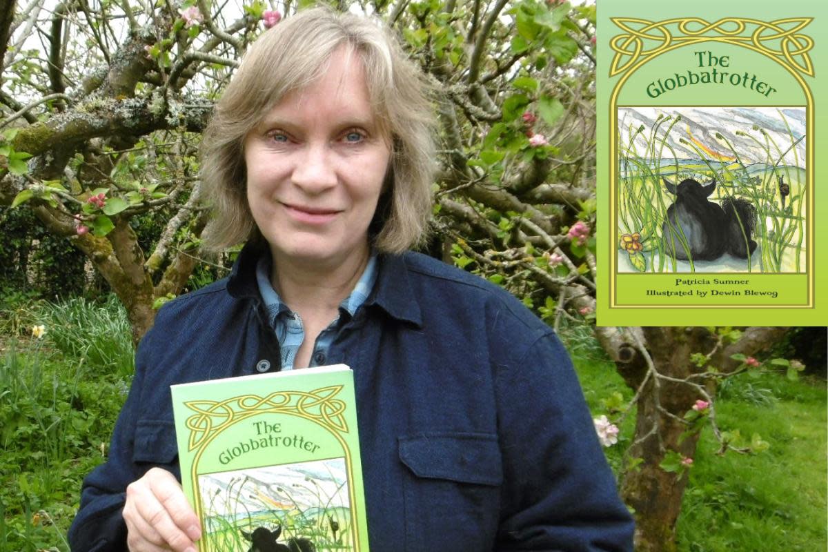 Patricia Sumner, an author and poet based in North Wales, has penned The Globbatrotter <i>(Image: Ginger Fyre Press)</i>