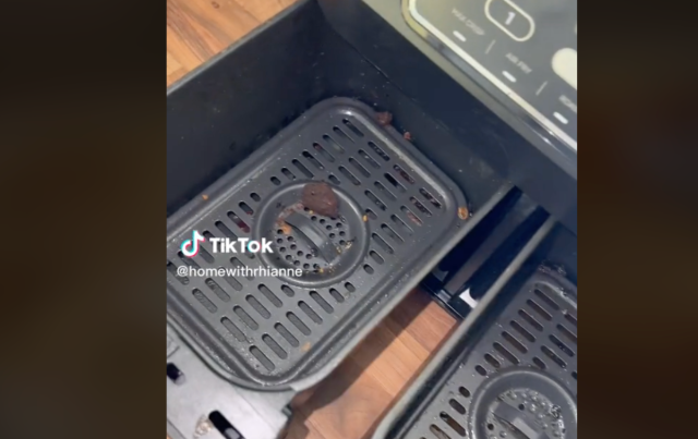 Air fryer cleaning hack going viral on tiktok: 'Feels illegal?