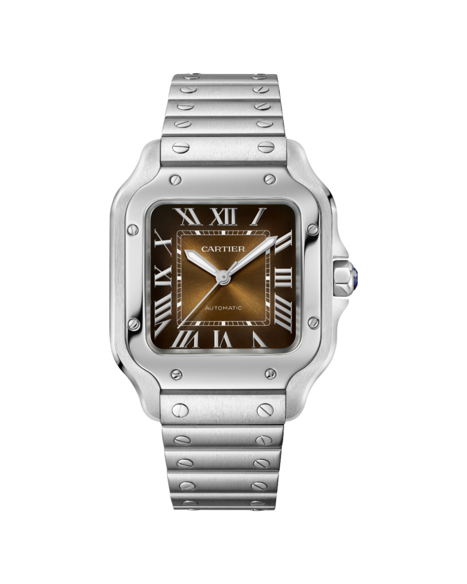 Cartier Santos de Cartier watch 2024