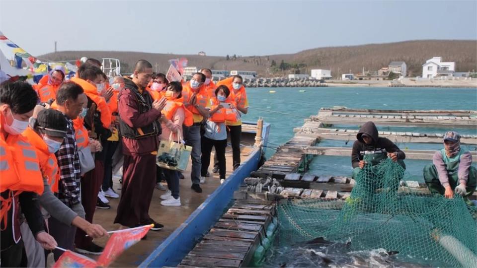 孕育海洋新生命　公益團體放流懷孕海鱺