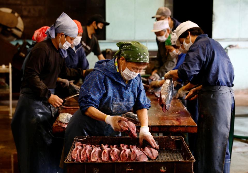 A group of workers make fillets of katsuo (skipjack tuna) for katsuobushi (bonito flakes) (Reuters)