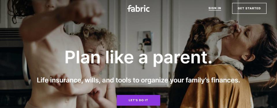 fabric insurance website