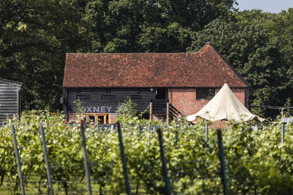 Oxney is famous for making some of the best organic wines in the country (Oxney)