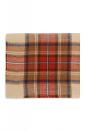 <p>Tartan is back with a vengeance. Impress your style-conscious friends with this woolly scarf. <i>Primark, £4</i> </p>