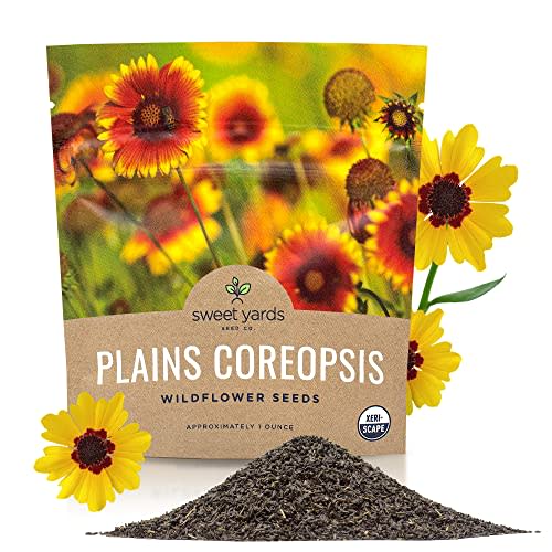 Sweet Yards Seed Co. Plains Coreopsis Seeds – Native Flowers – Extra Large Packet – Over 100,000 Open Pollinated Non-GMO Wildflower Seeds – Coreopsis tinctorial