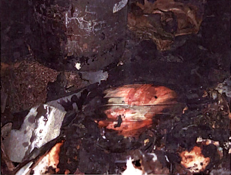 A fire investigator said this image shows suspected blood found inside the burnt van. (Image via San Mateo County Superior Court records)