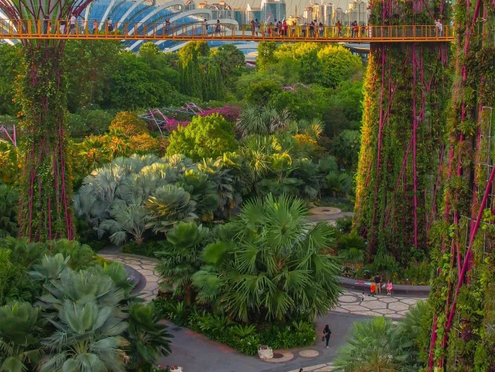 Gardens by the Bay in Singapore. Plants and sculptures tower above the ground.