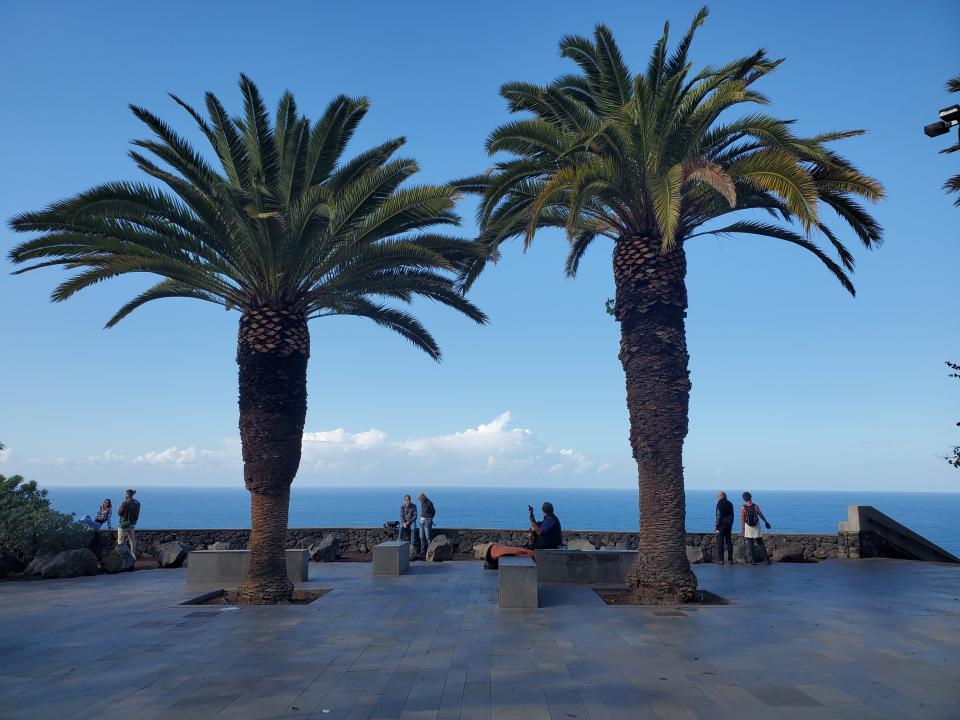 The Canary Islands