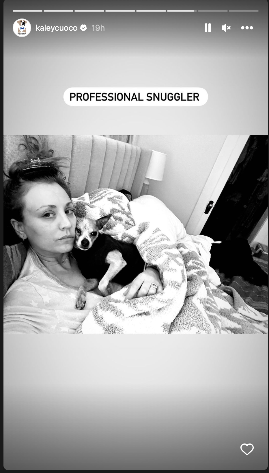 Kaley Cuoco snuggles up to her dog on her Instagram Stories (Credit: Kaley Cuoco/Instagram)