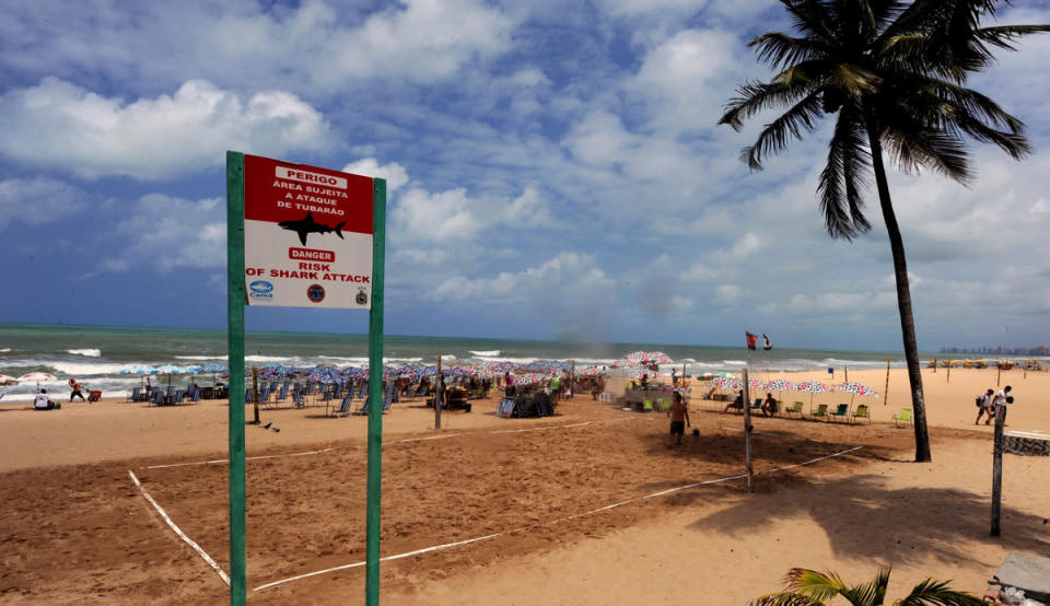 <p>In the past 20 years Brazil has become an increasingly hazardous place to go swimming. </p>

<p>While the north-east coast might have a stunning coastline and bath-temperature waters, <a href="http://www.bbc.co.uk/news/world-radio-and-tv-19720455">the BBC report</a> that off the shore of Recife are many aggressive sharks, which has made this one of the most dangerous places in the world to swim. </p>

<p>Brazil's sharks appear to be some of the most dangerous in the world. The death rate of 37% (21 of the 56 attacks in 20 years) is much higher than the worldwide shark attack fatality rate, which is currently about 16%, according to the Florida State Museum of Natural History.</p>

<p>Picture: Placard warns about a shark hazard in Boa Viagem beach in Recife, northeastern Brazil on September 11, 2012.</p>